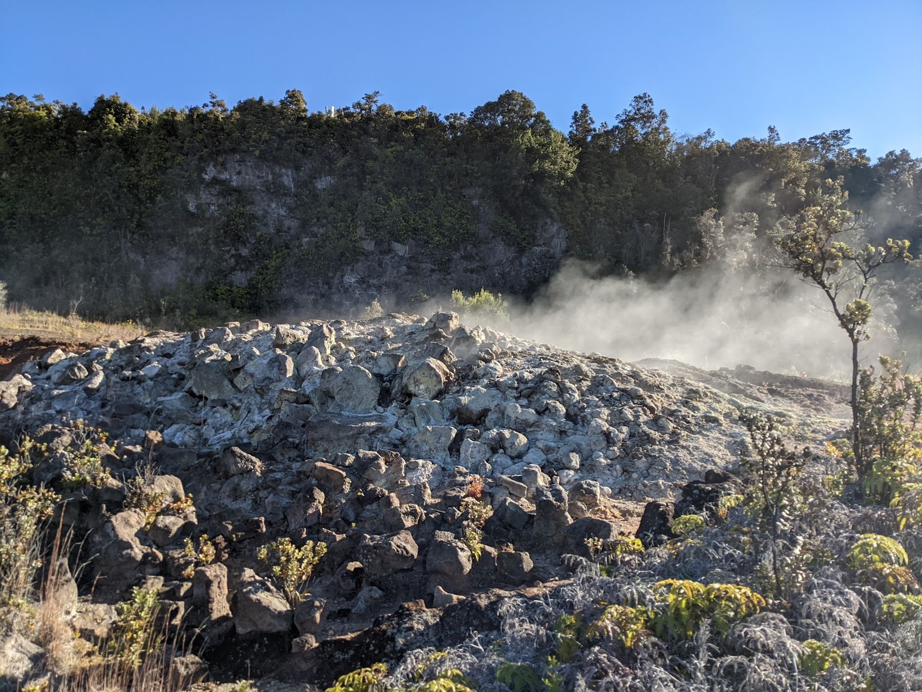 Photo 4 of Haʻakulamanu Sulphur Banks in Volcano, Big Island
