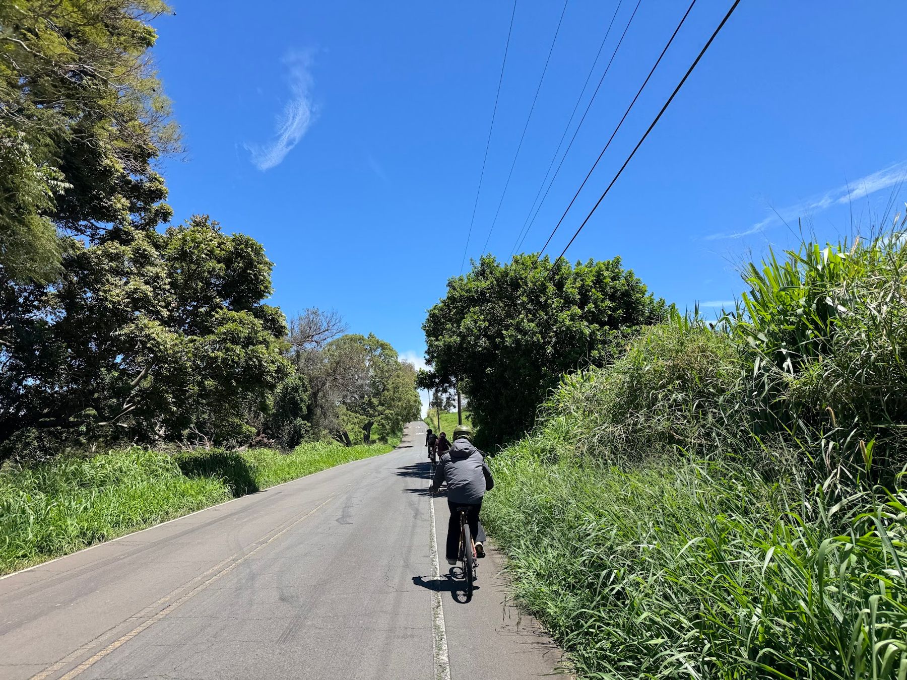Photo 5 of Bike Maui in Haʻikū, Maui
