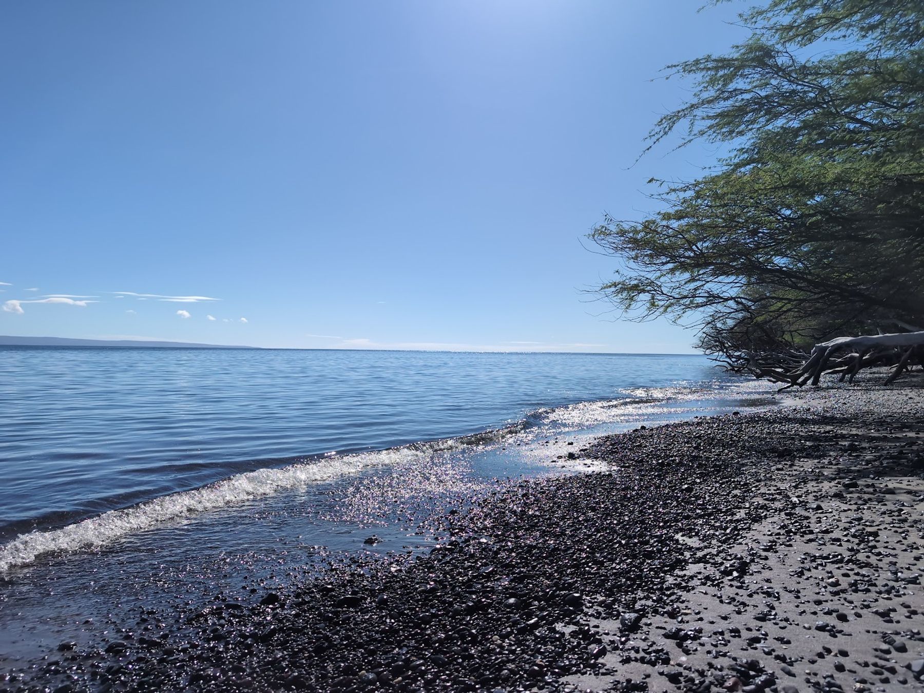 Photo 2 of Kayak Olowalu in Olowalu, Maui