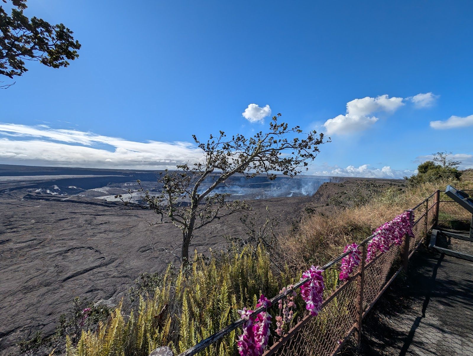 Photo 5 of Crater Rim Cafe in Volcano, Big Island