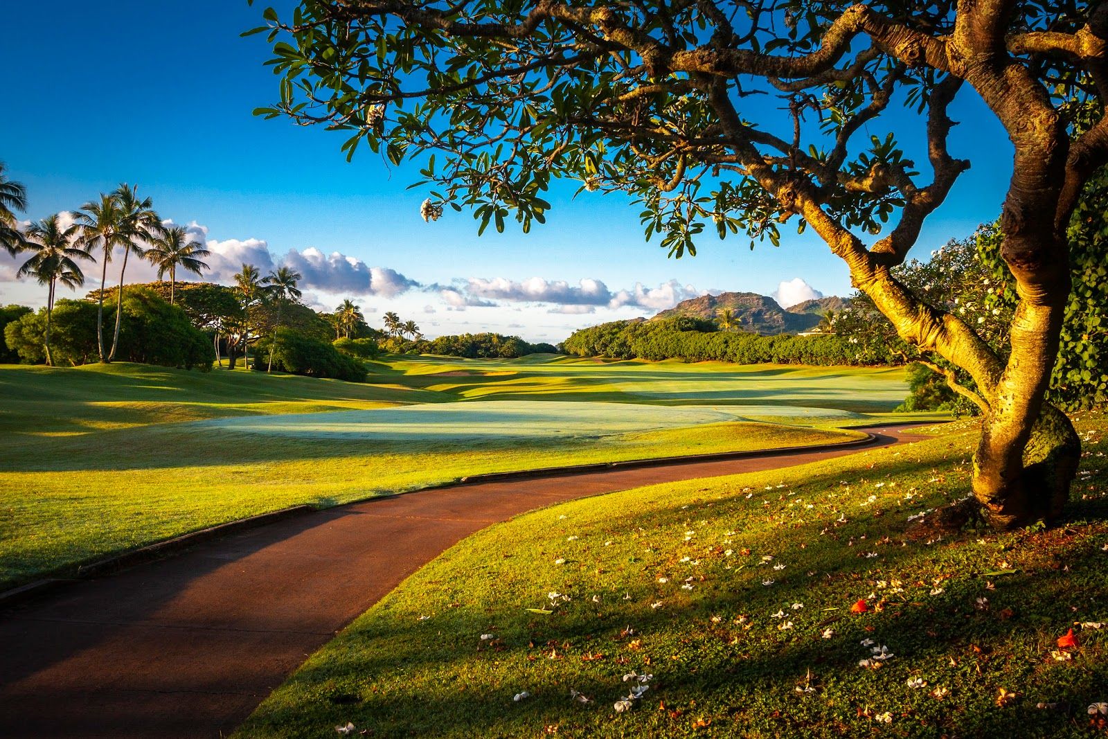 The Ocean Course at Hokuala in Lihue, Kaua‘i photo 3