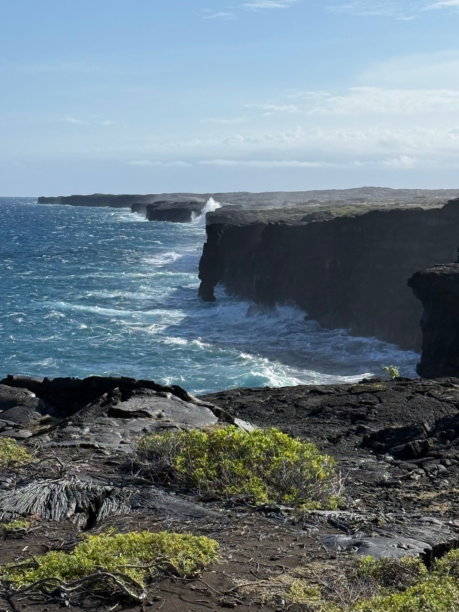 Photo 2 of Chain of Craters Road in Volcano, Big Island