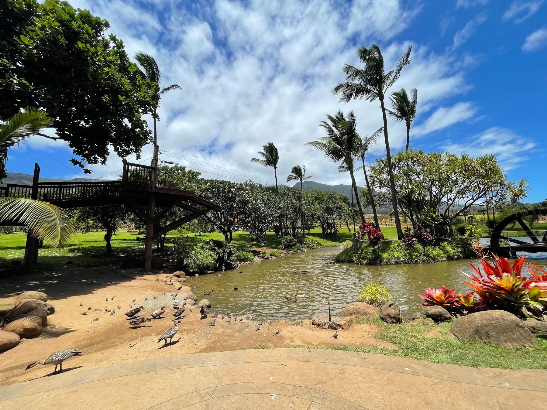 Photo 4 of Maui Zipline Company in Wailuku, Maui