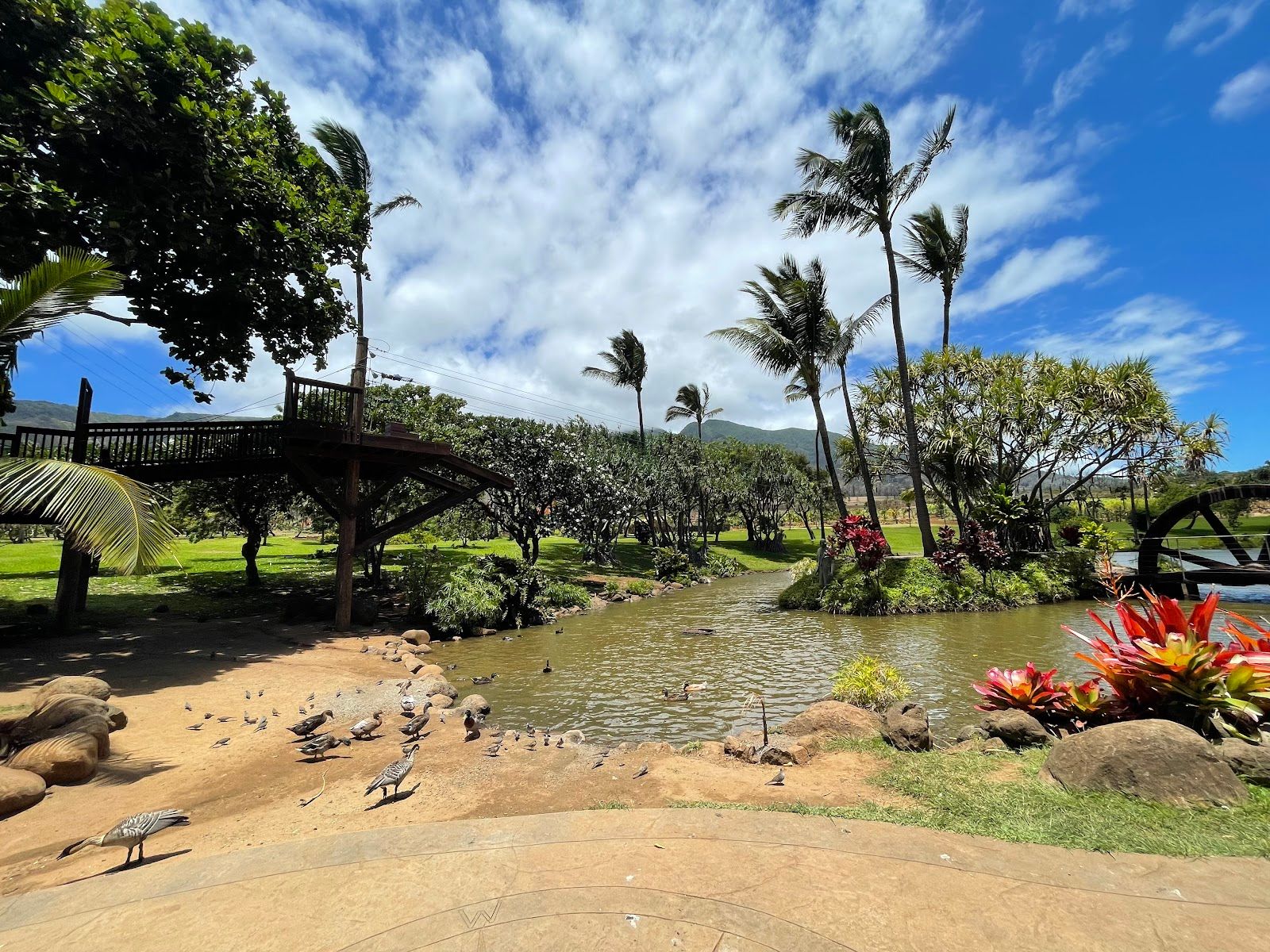 Photo 4 of Maui Zipline Company in Wailuku, Maui