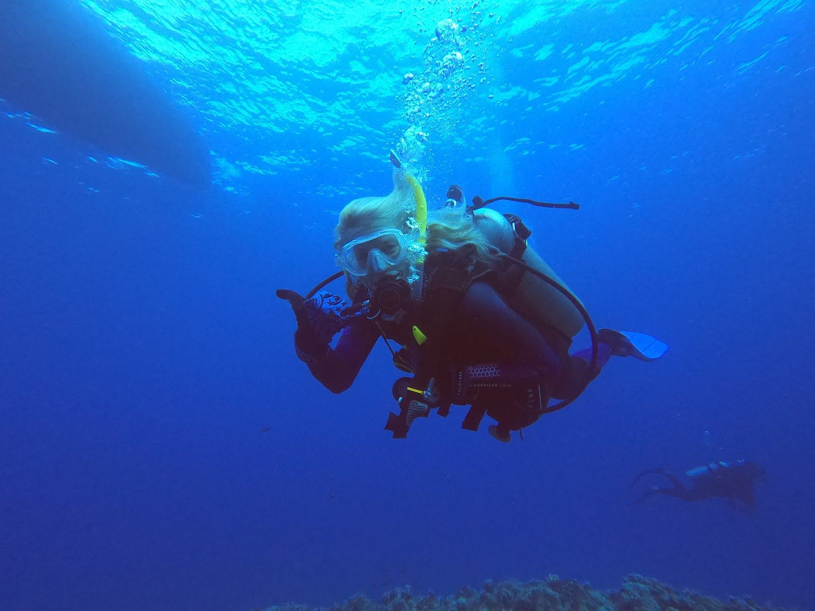 Photo 8 of Maui Dreams Dive Co in Kīhei, Maui
