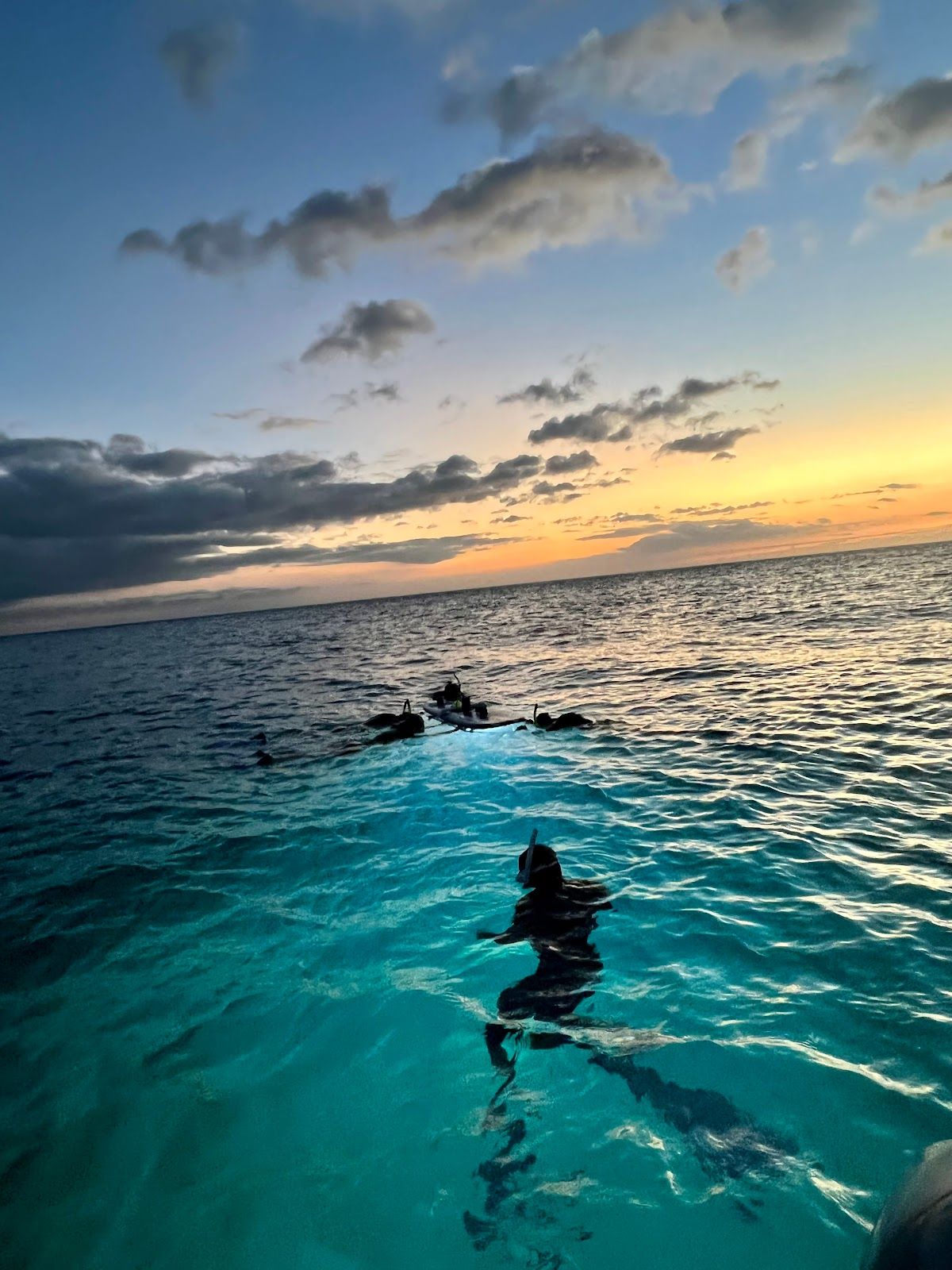 Photo 10 of Liquid Hawai‘i Charters in Waikoloa, Big Island