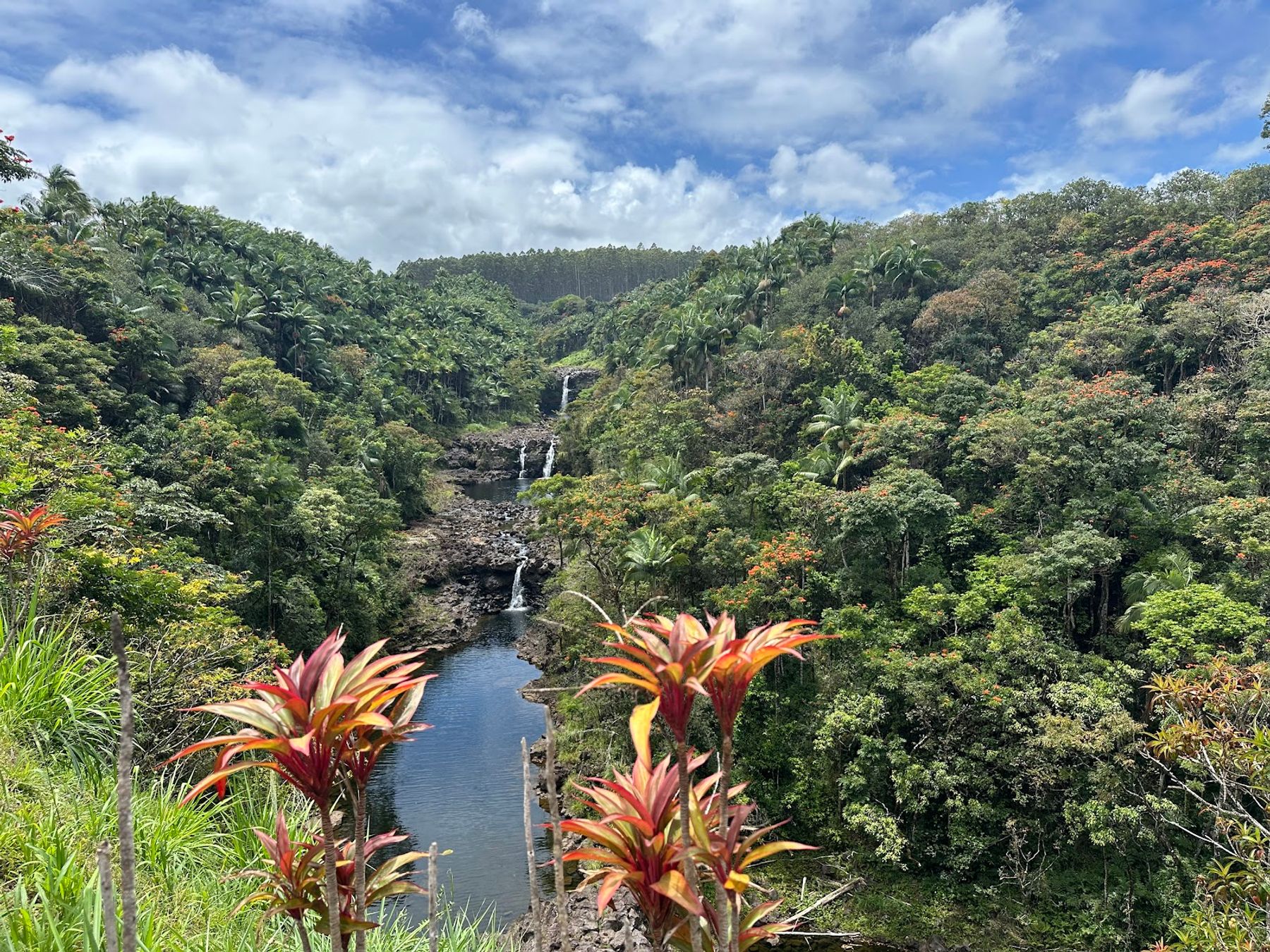 Photo 9 of Umauma Falls in Greater Hilo, Big Island