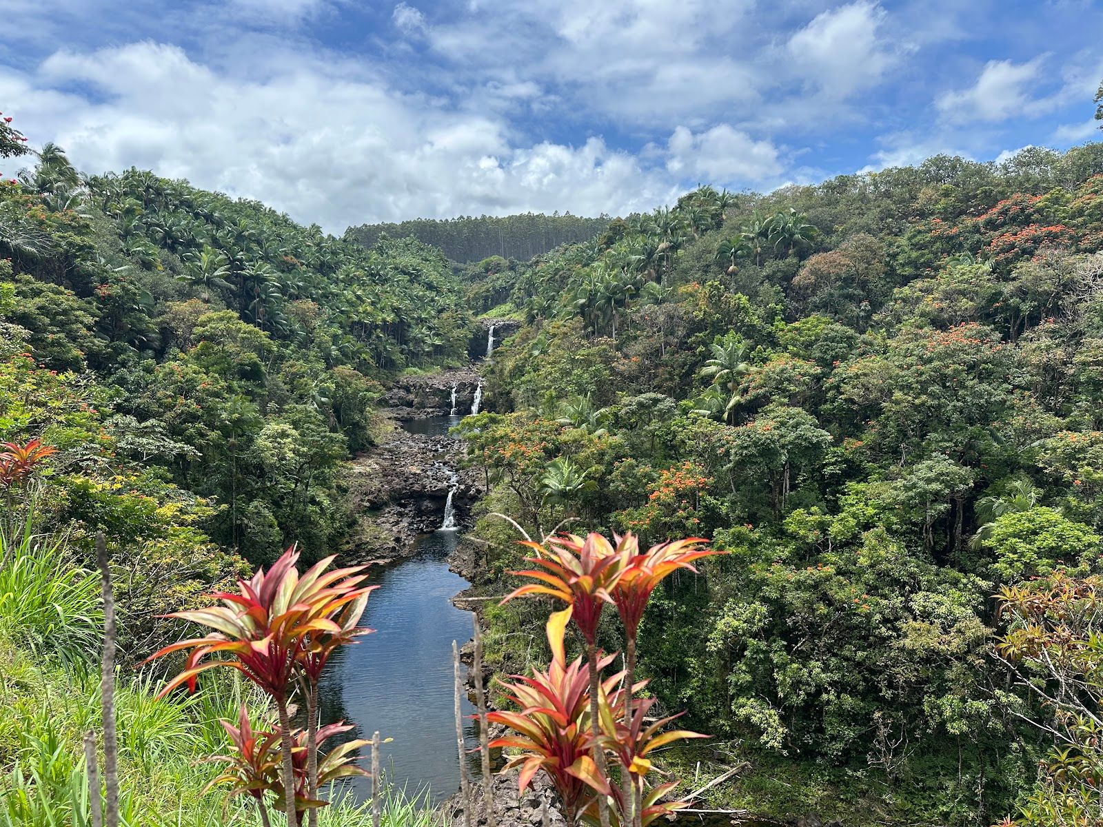 Photo 9 of Umauma Falls in Greater Hilo, Big Island