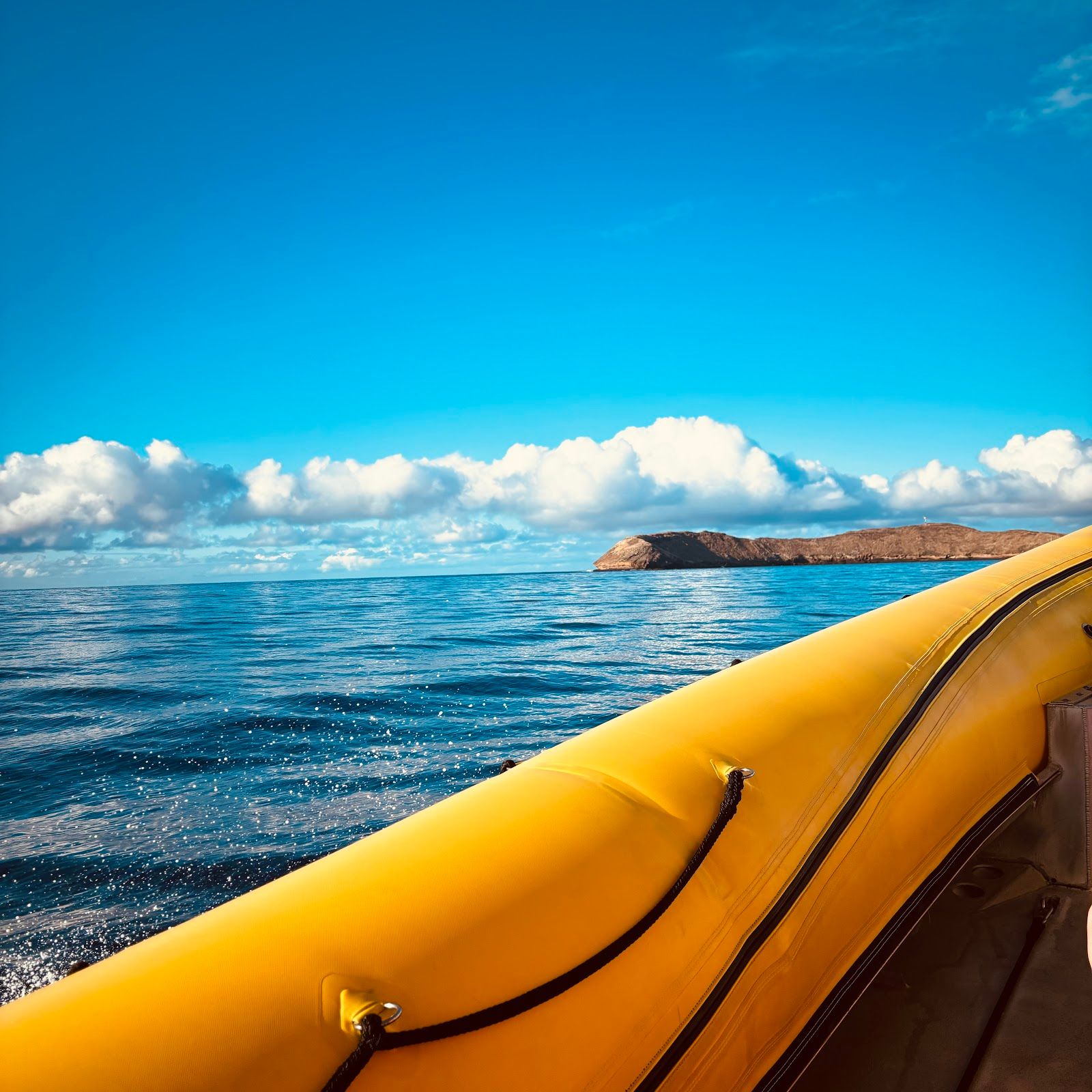 Photo 7 of Maui Snorkel Charters in Wailea, Maui