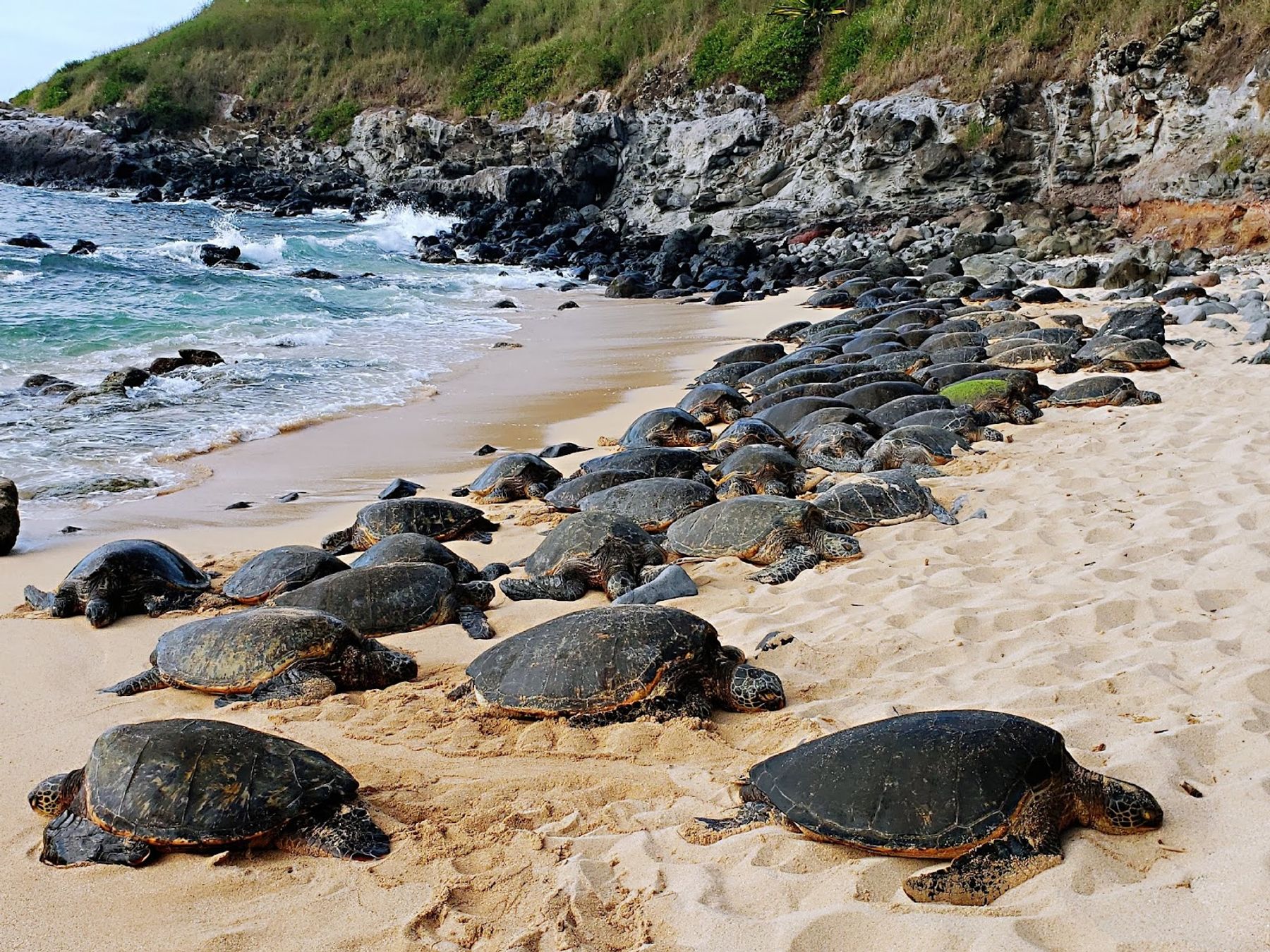 Photo 3 of Ho'okipa Beach Park in Pāʻia, Maui