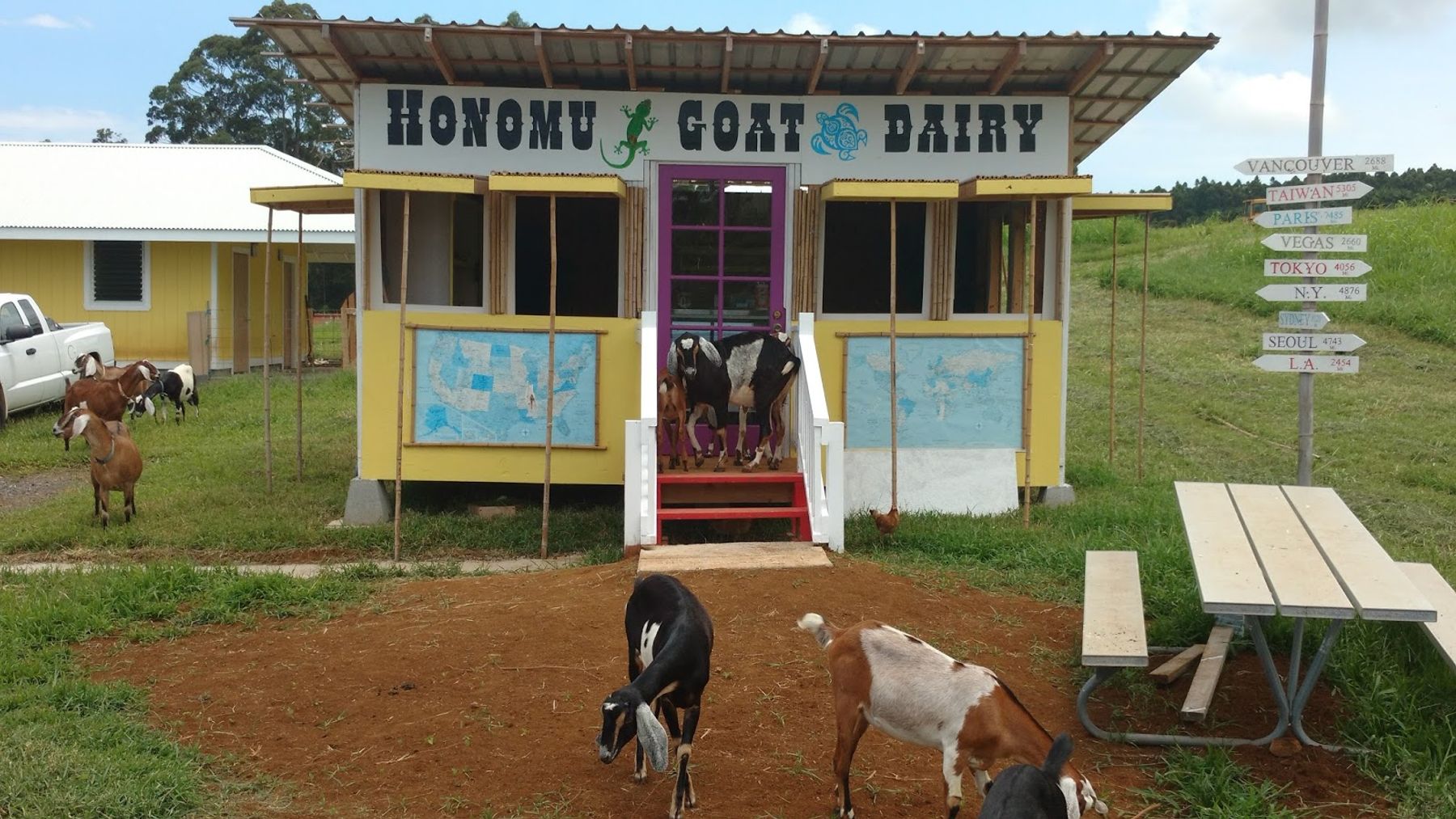 Photo 1 of Honomu Goat Dairy in Greater Hilo, Big Island