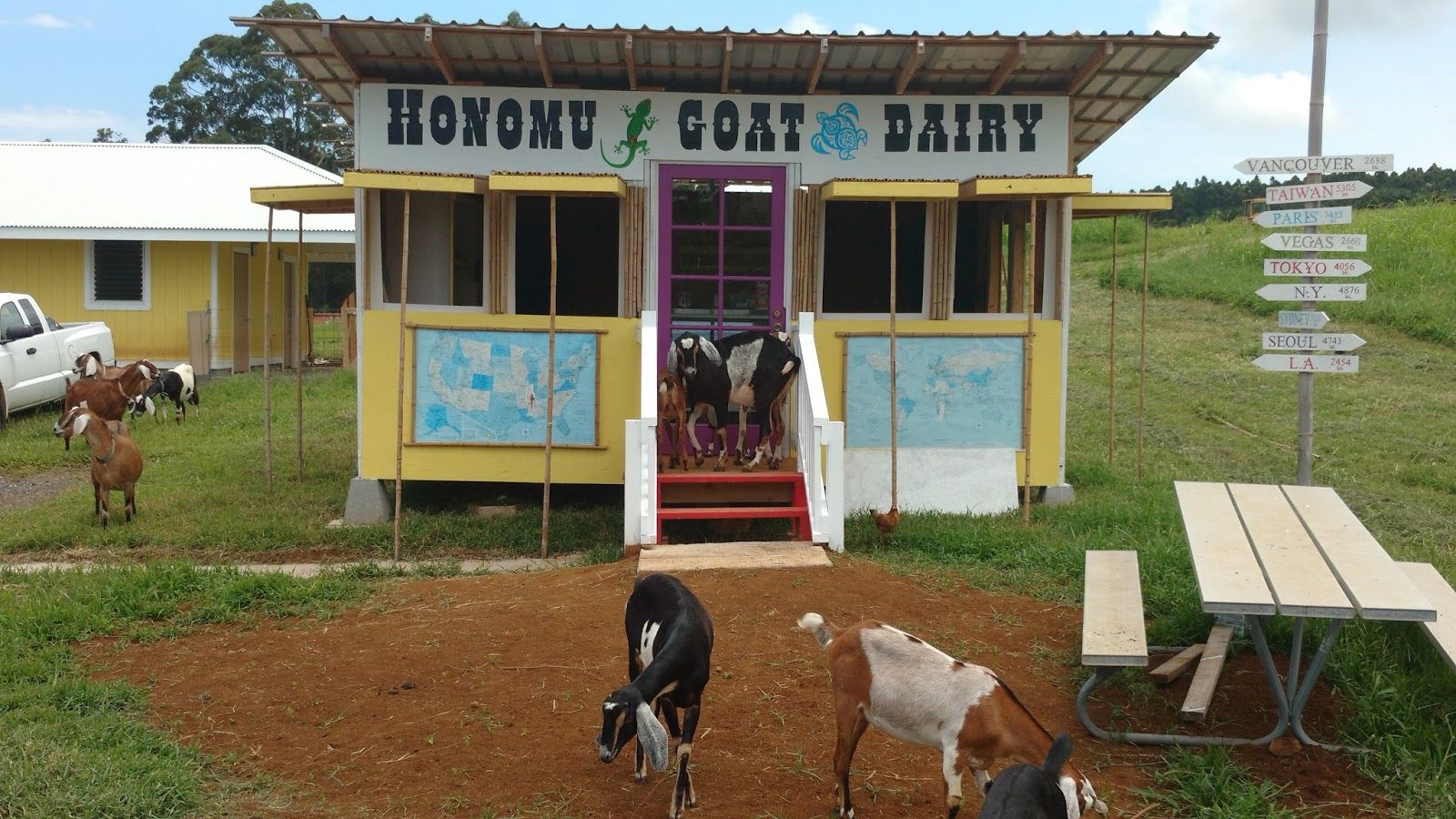 Photo 1 of Honomu Goat Dairy in Greater Hilo, Big Island