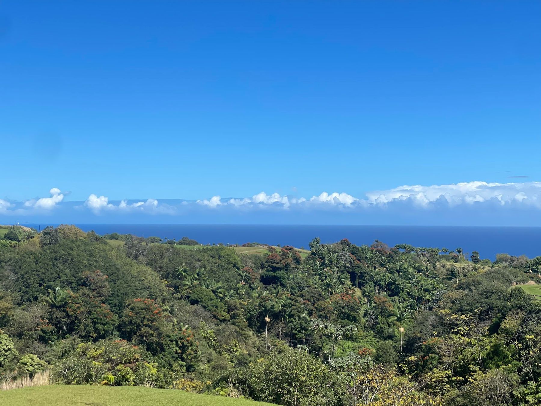 Photo 10 of The Umauma Experience in Greater Hilo, Big Island