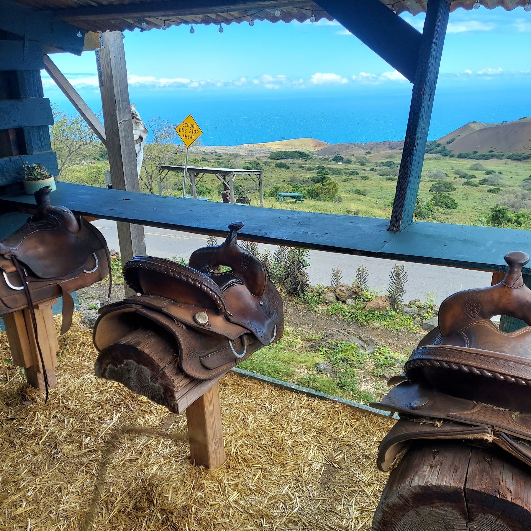 Photo 7 of Bully's Burgers in Ulupalakua, Maui
