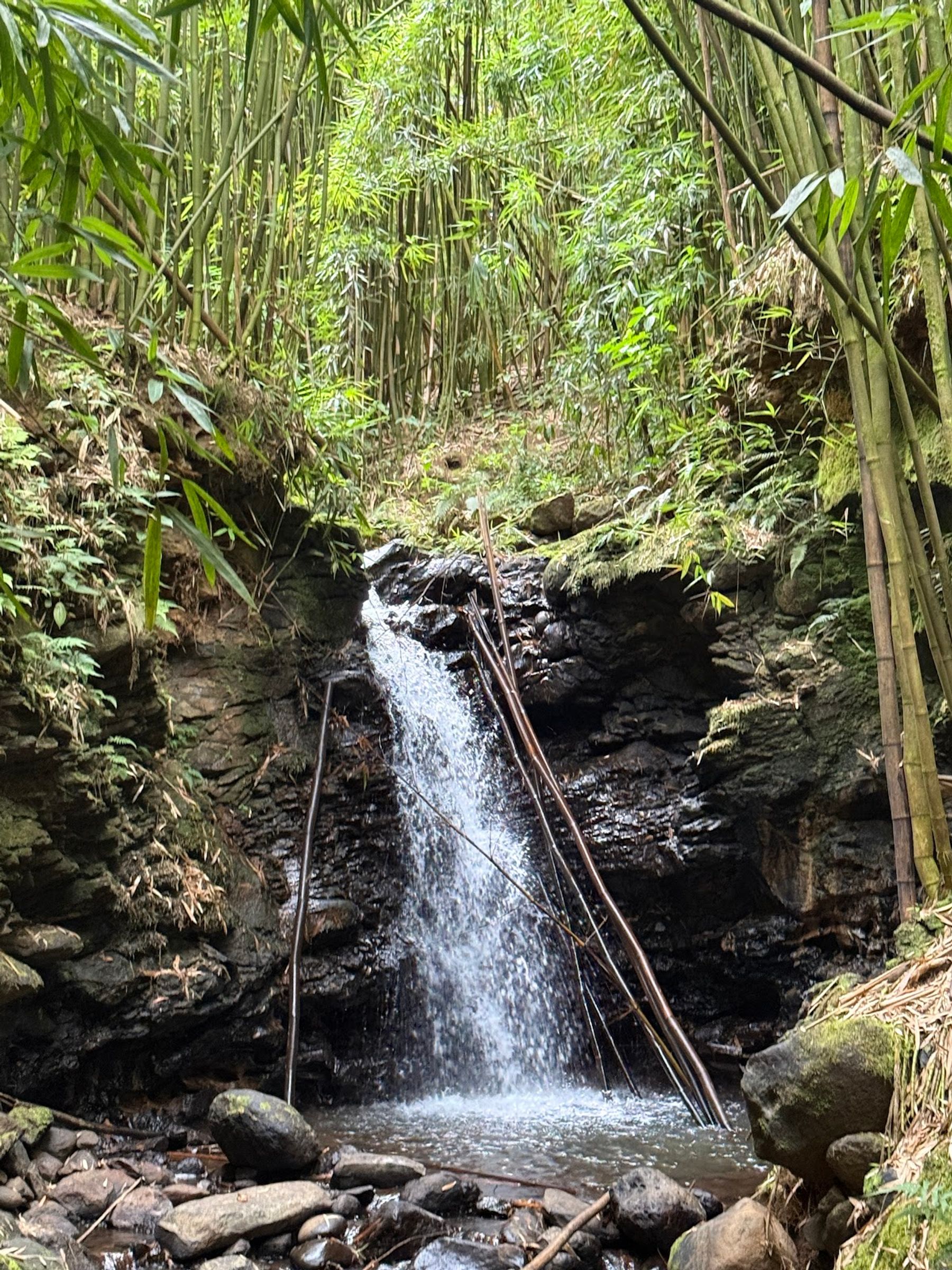Photo 7 of Epic Maui Hikes in Kīhei, Maui