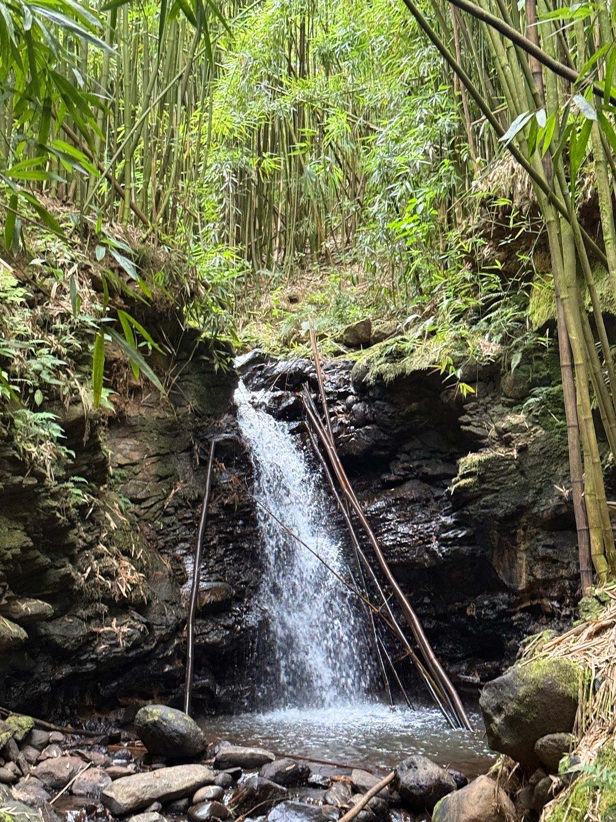 Photo 7 of Epic Maui Hikes in Kīhei, Maui