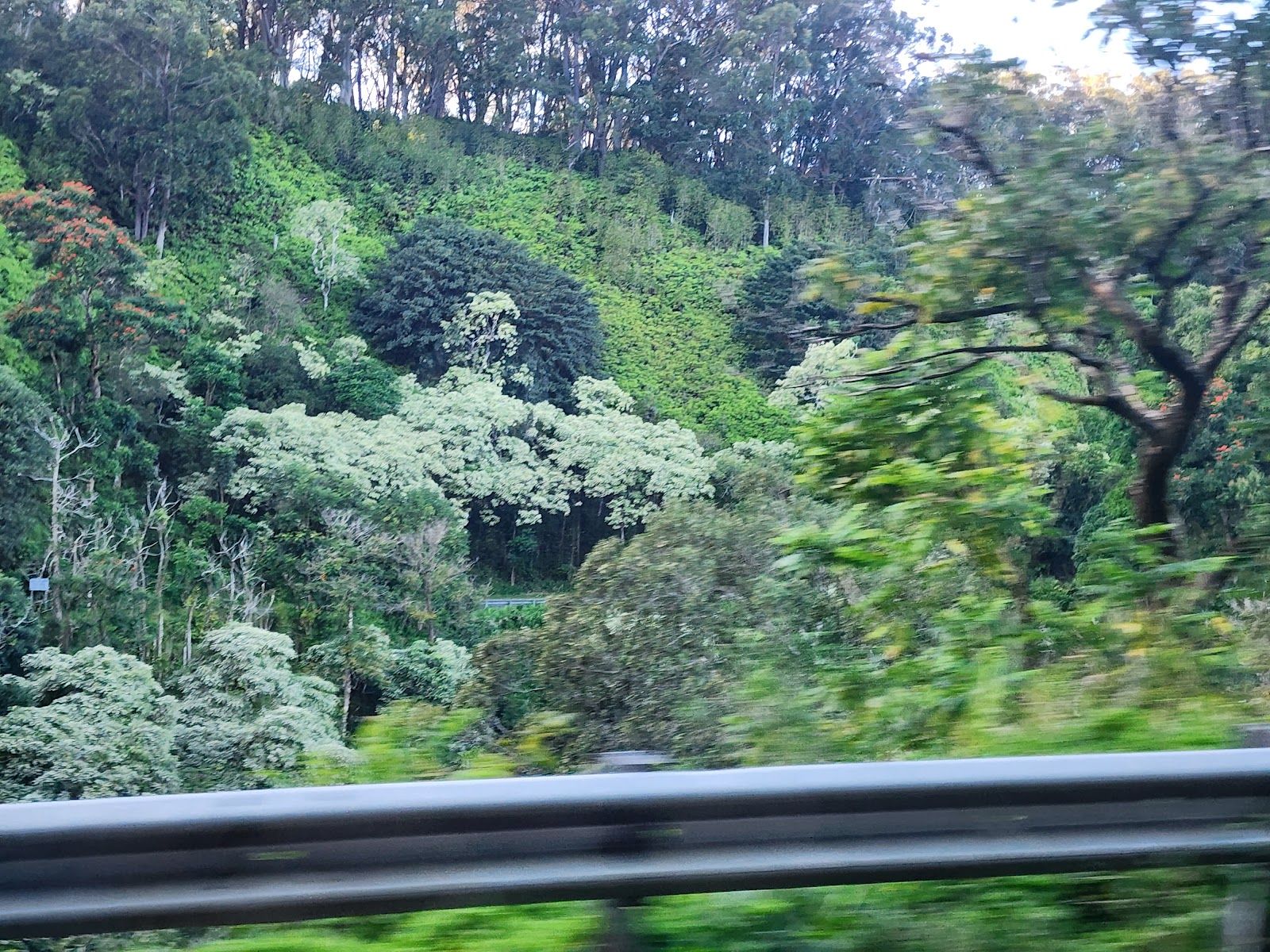 Photo 5 of Road to Hana in Keʻanae-Nāhiku, Maui