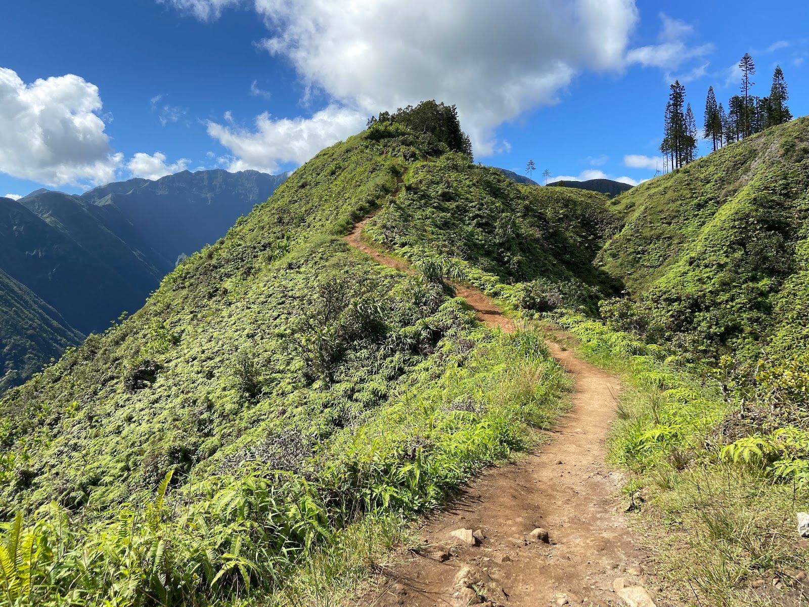 Maui’s Hardest Hikes for Strong Adventurers