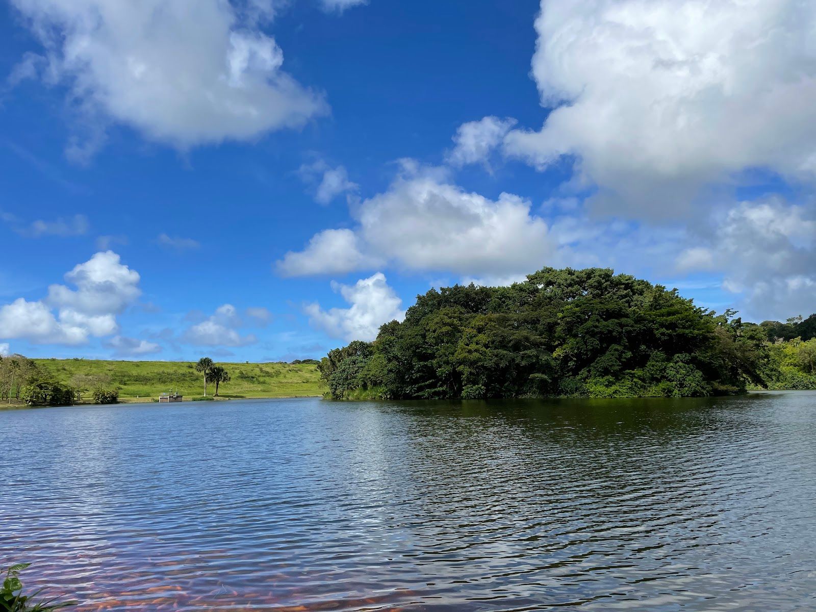Photo 3 of Hoʻomaluhia Botanical Garden in Kāneʻohe, Oahu