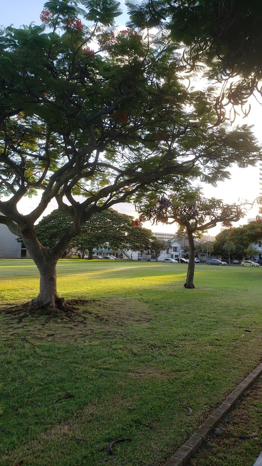 Photo 3 of Makiki District Park in Mānoa, Makiki & Nuʻuanu, Oahu
