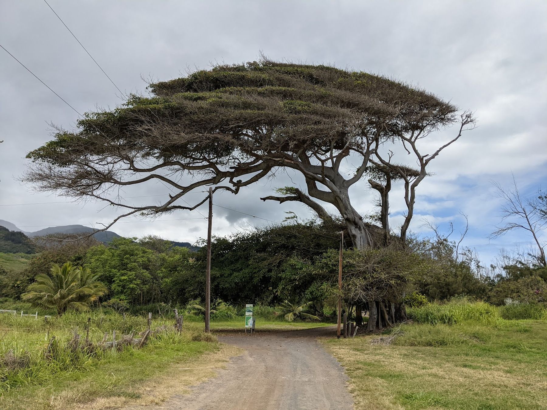 Photo 8 of Waihe‘e Coastal Dunes and Wetlands Refuge in Wailuku, Maui