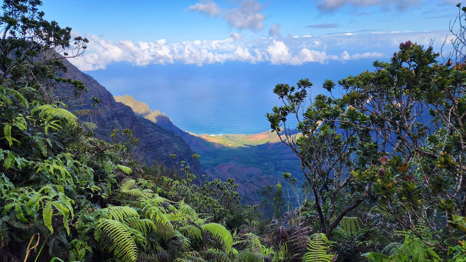 Pihea Trail in Hanapepe, Kaua‘i photo 6