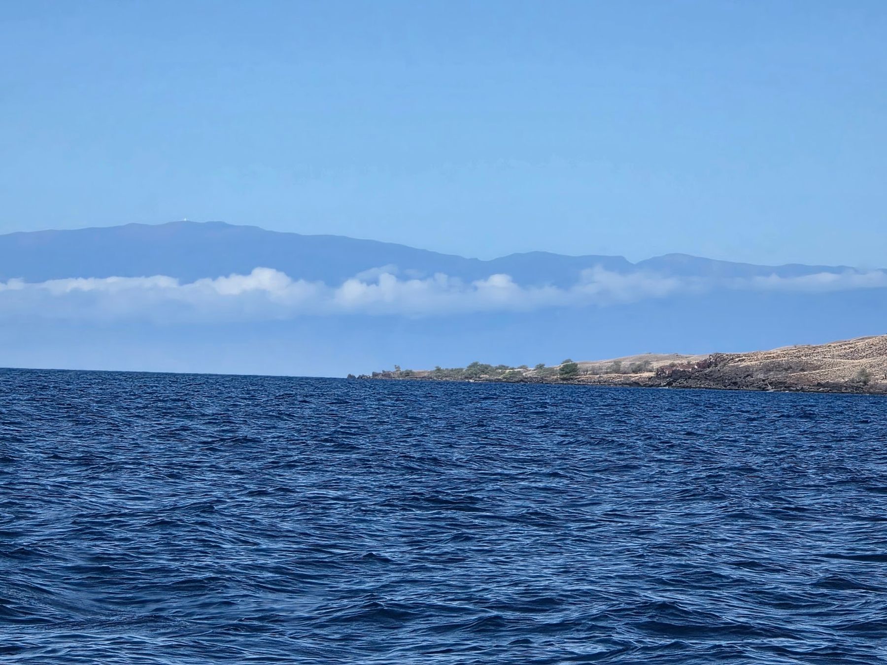 Photo 3 of Hawaii Oceanic in Kailua-Kona, Big Island