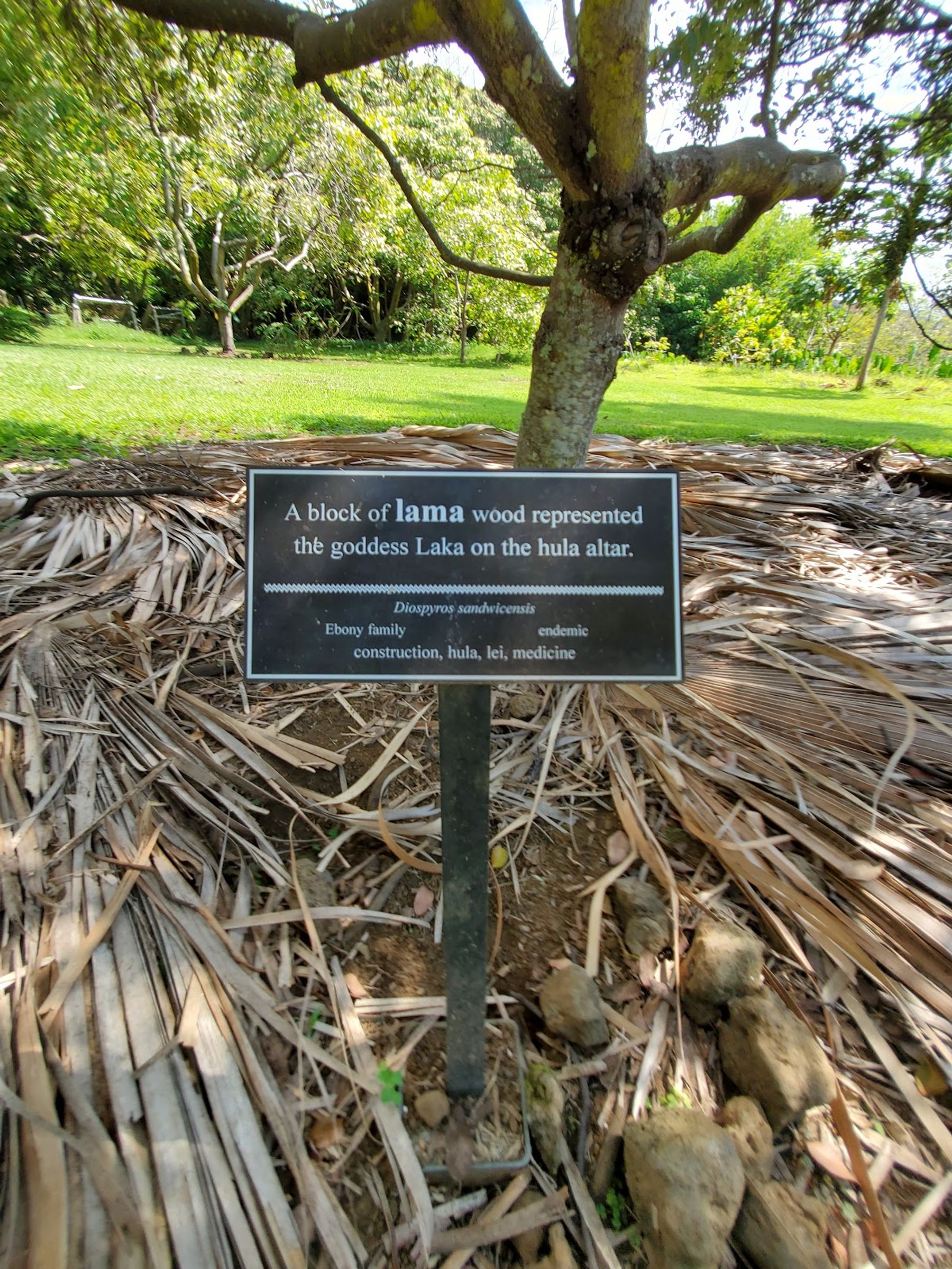 Photo 4 of Amy Greenwell Ethnobotanical Garden in South Kona, Big Island