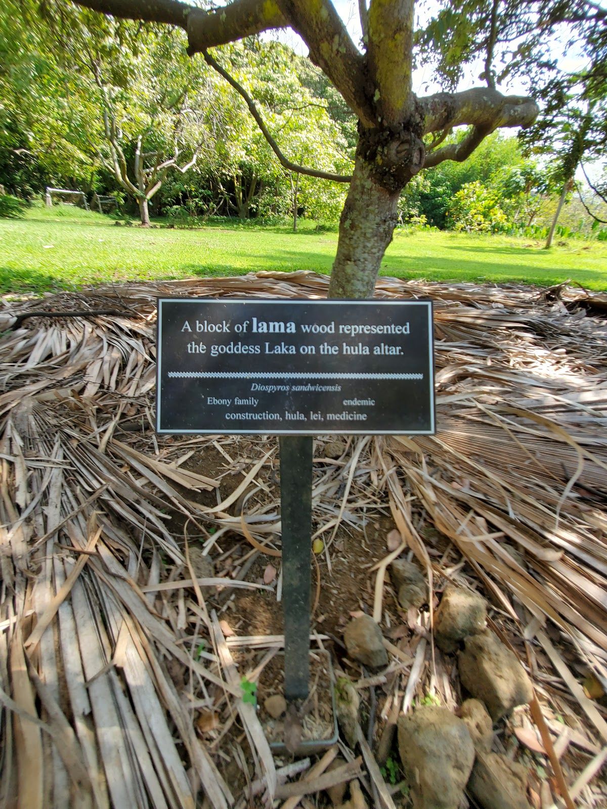 Photo 4 of Amy Greenwell Ethnobotanical Garden in South Kona, Big Island