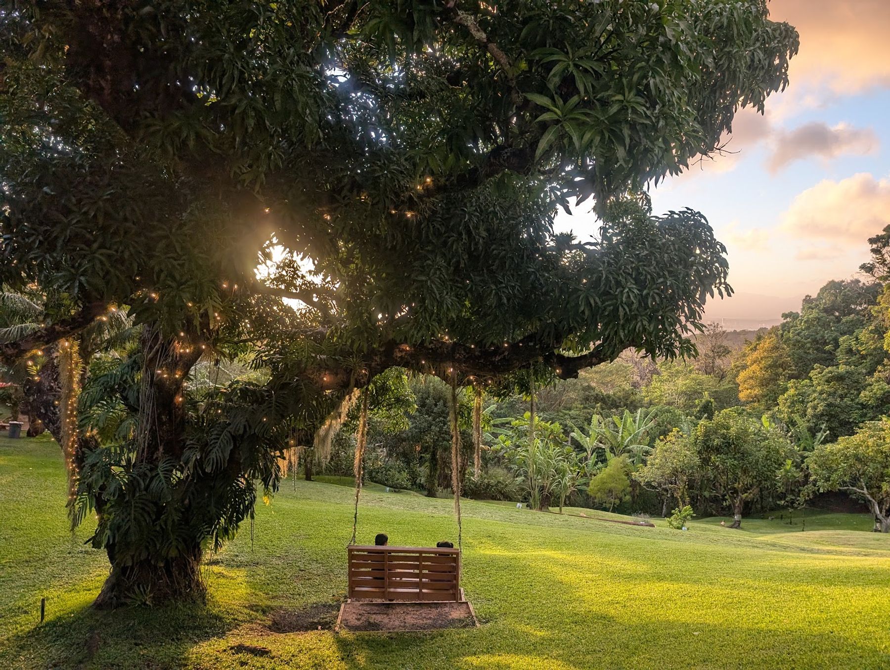 Photo 2 of Experience Nutridge in Mānoa, Makiki & Nuʻuanu, Oahu