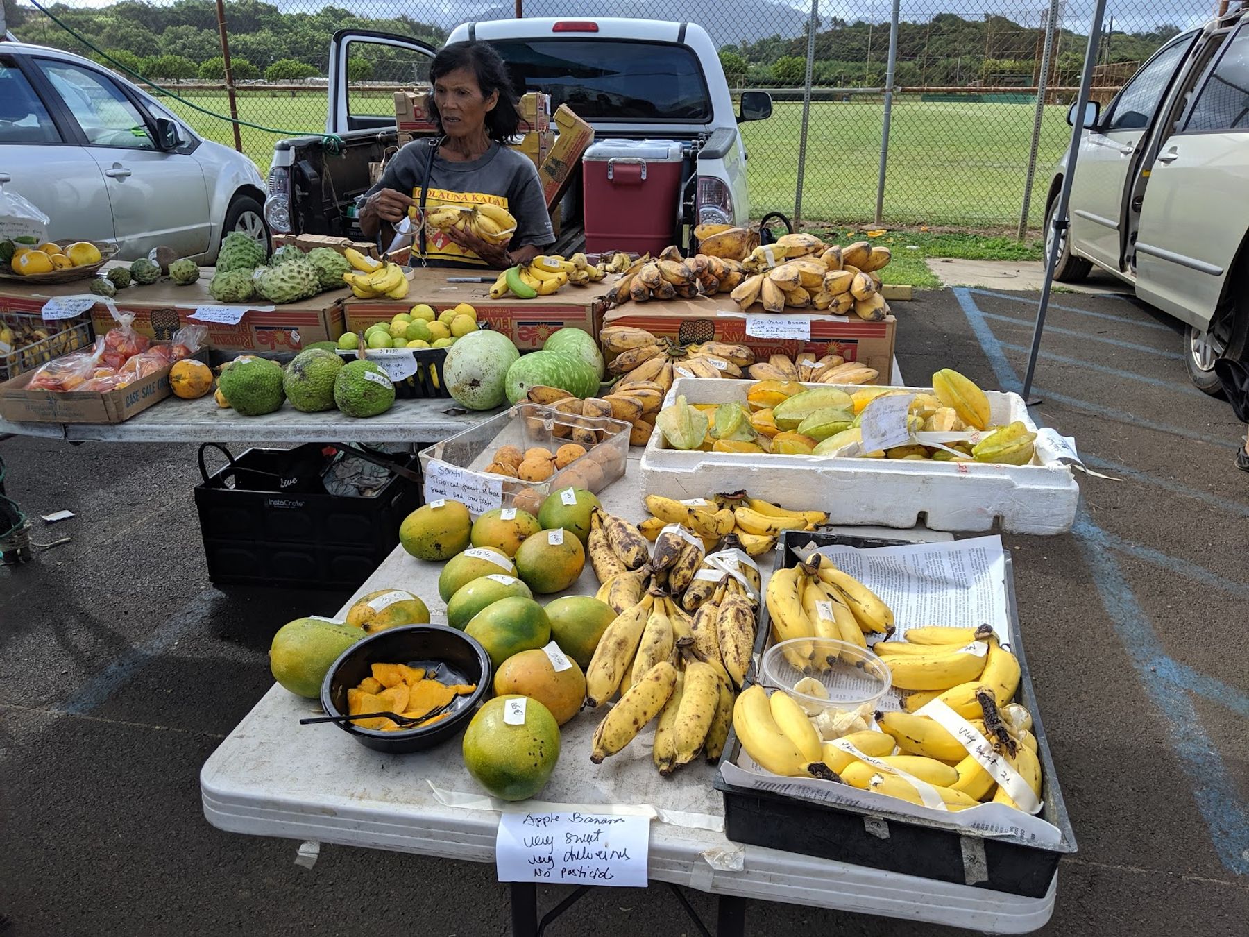 Kapa’a Town Park in Kapaʻa, Kaua‘i photo 3