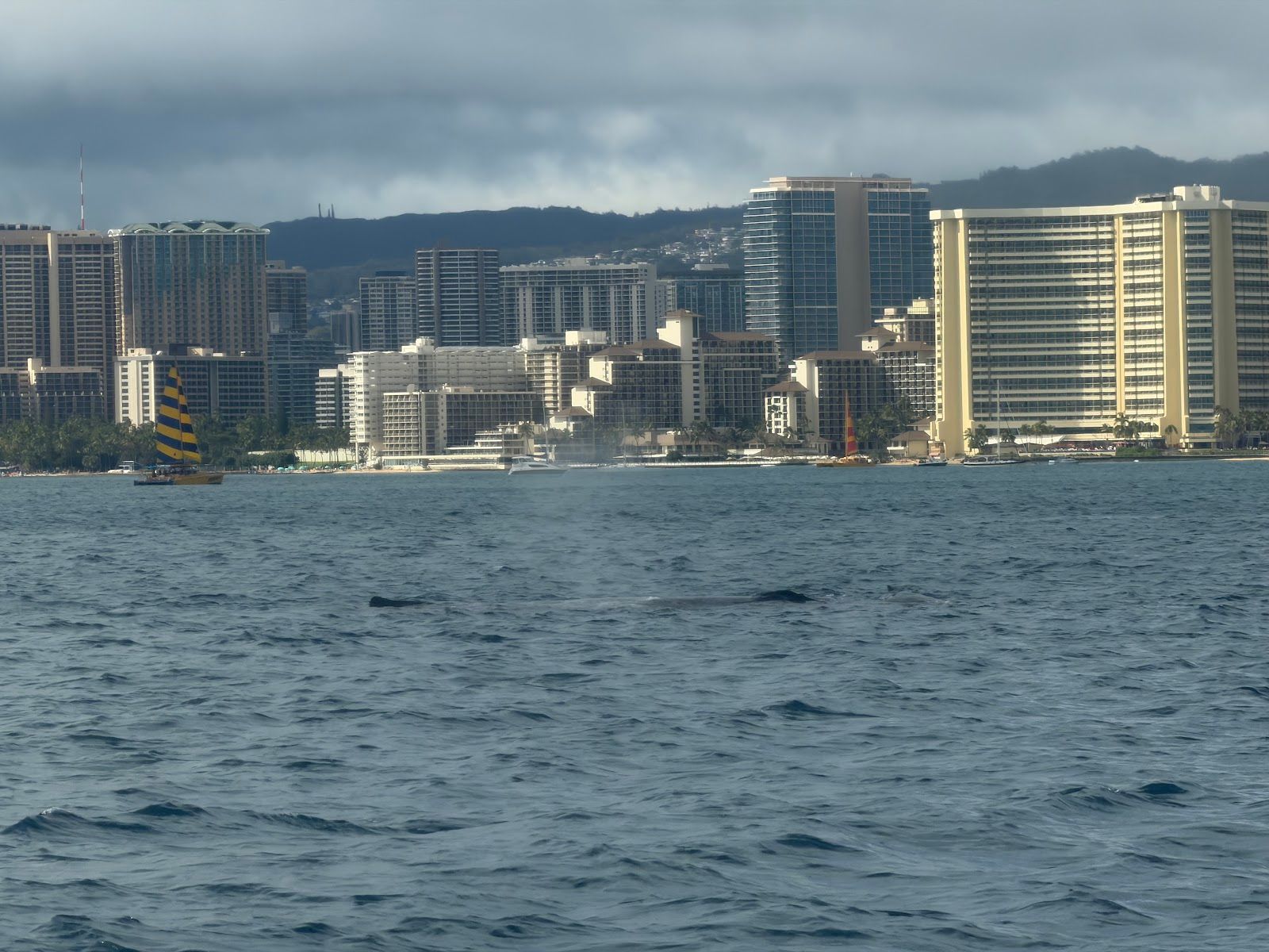Photo 5 of Honolulu Snorkel Company in Ala Moana & Mōʻiliʻili, Oahu
