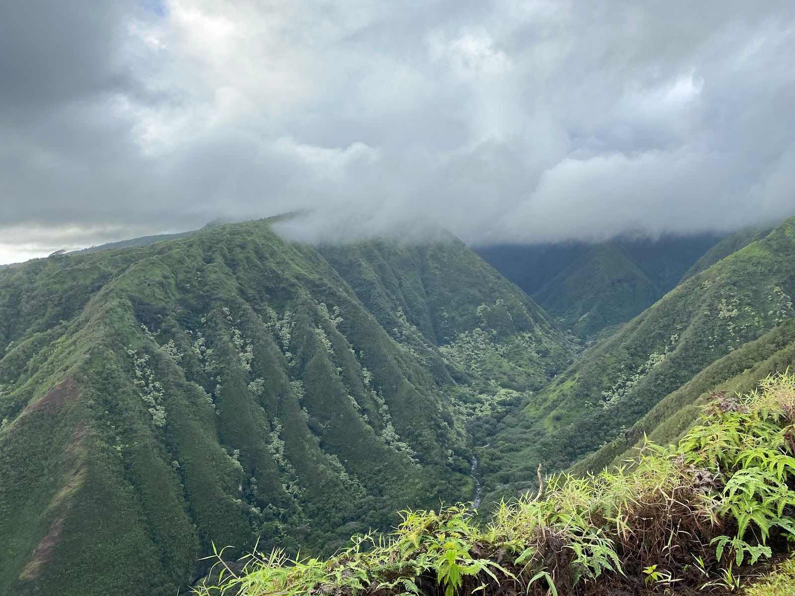 Photo 6 of Waihee Ridge Trail in Wailuku, Maui