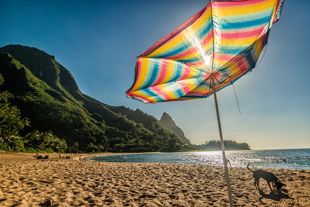 Colorful striped beach umbrella over golden sand with lush green cliffs and sparkling ocean at sunset on Kauaʻi’s north shore