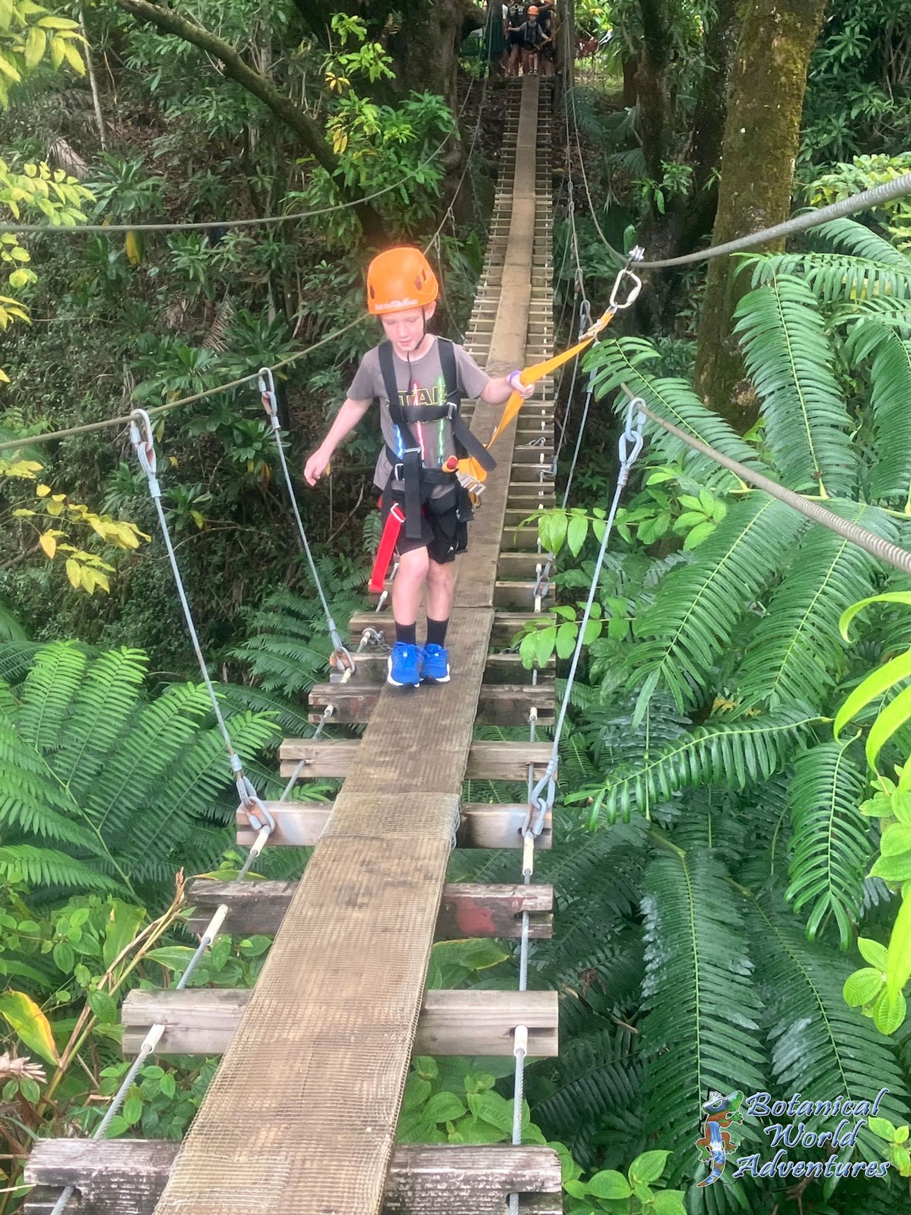 Photo 3 of Botanical World Adventures in Greater Hilo, Big Island