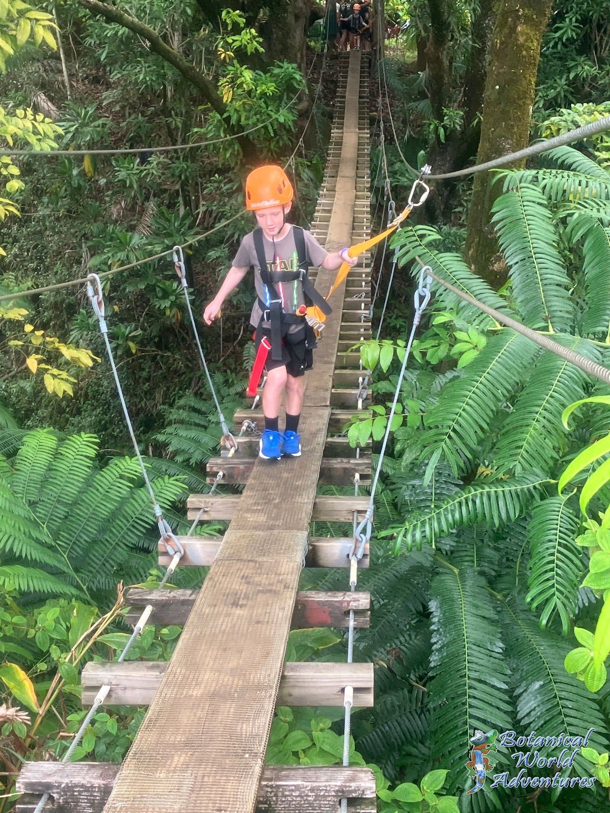 Photo 3 of Botanical World Adventures in Greater Hilo, Big Island