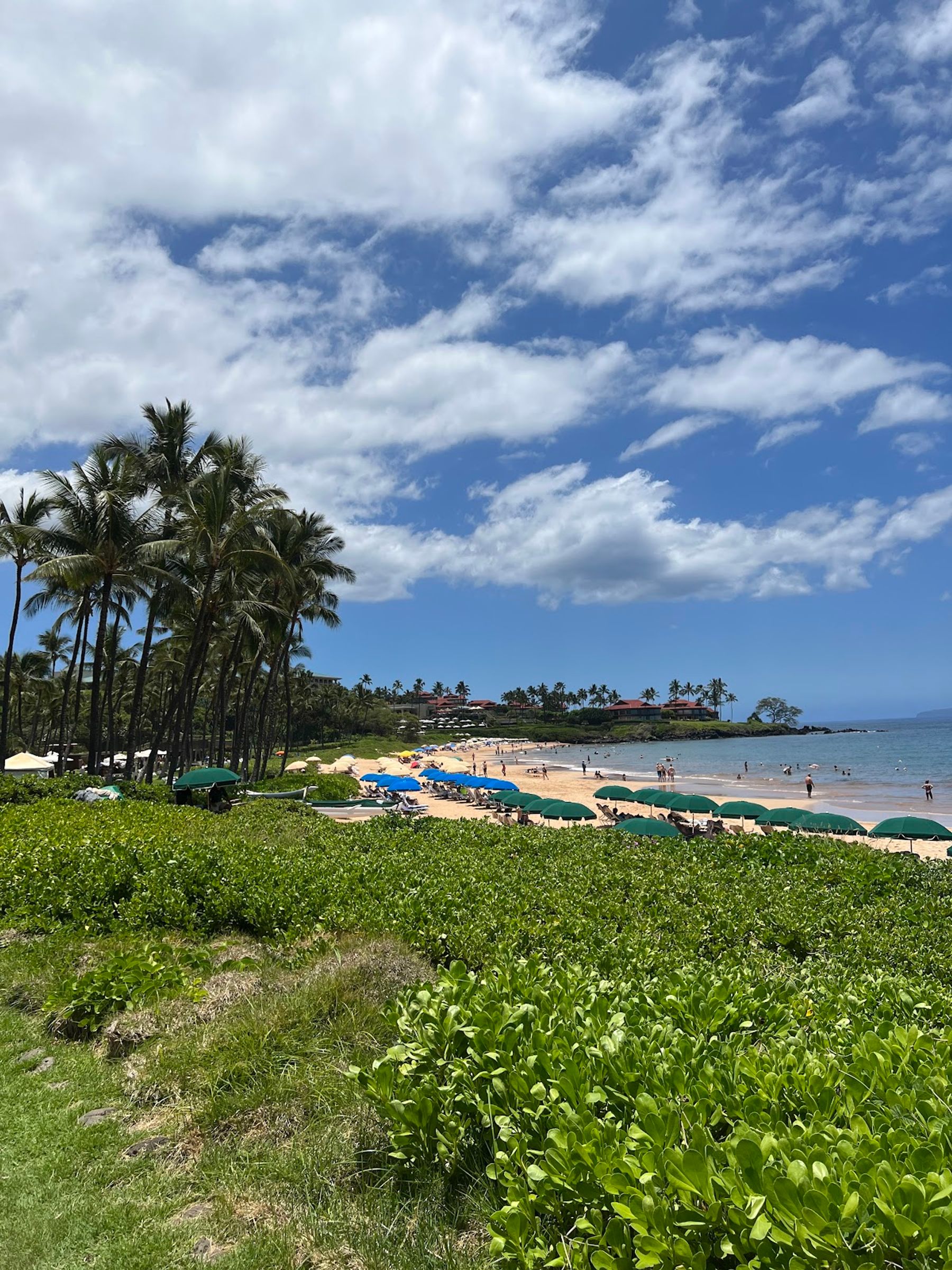 Photo 3 of Wailea Beach Park in Wailea, Maui