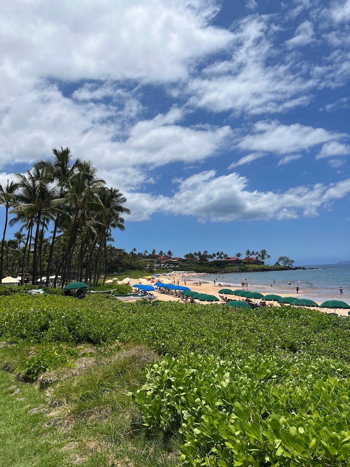 Photo 3 of Wailea Beach Park in Wailea, Maui