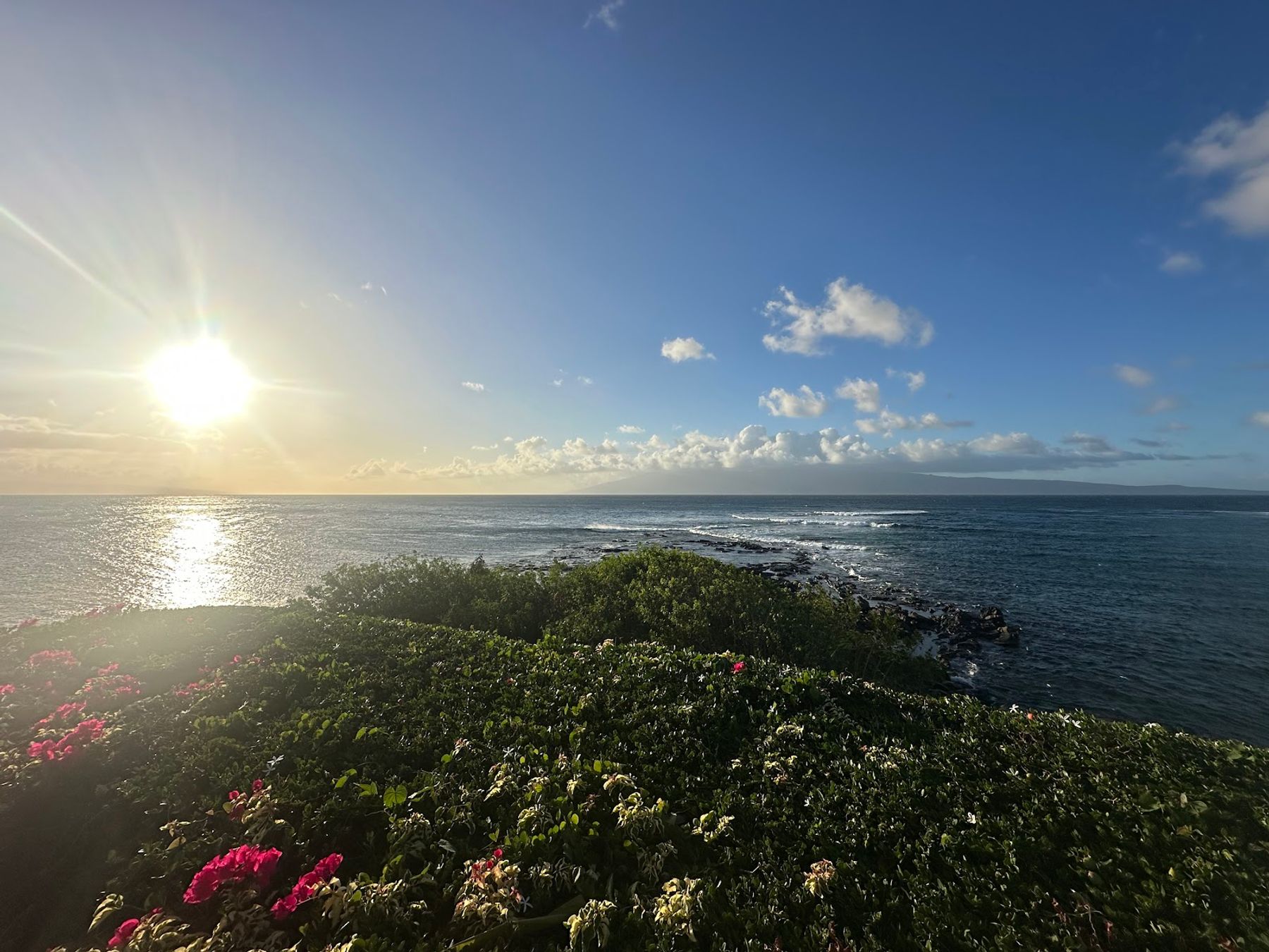 Photo 8 of Merriman's Kapalua in Kapalua, Maui