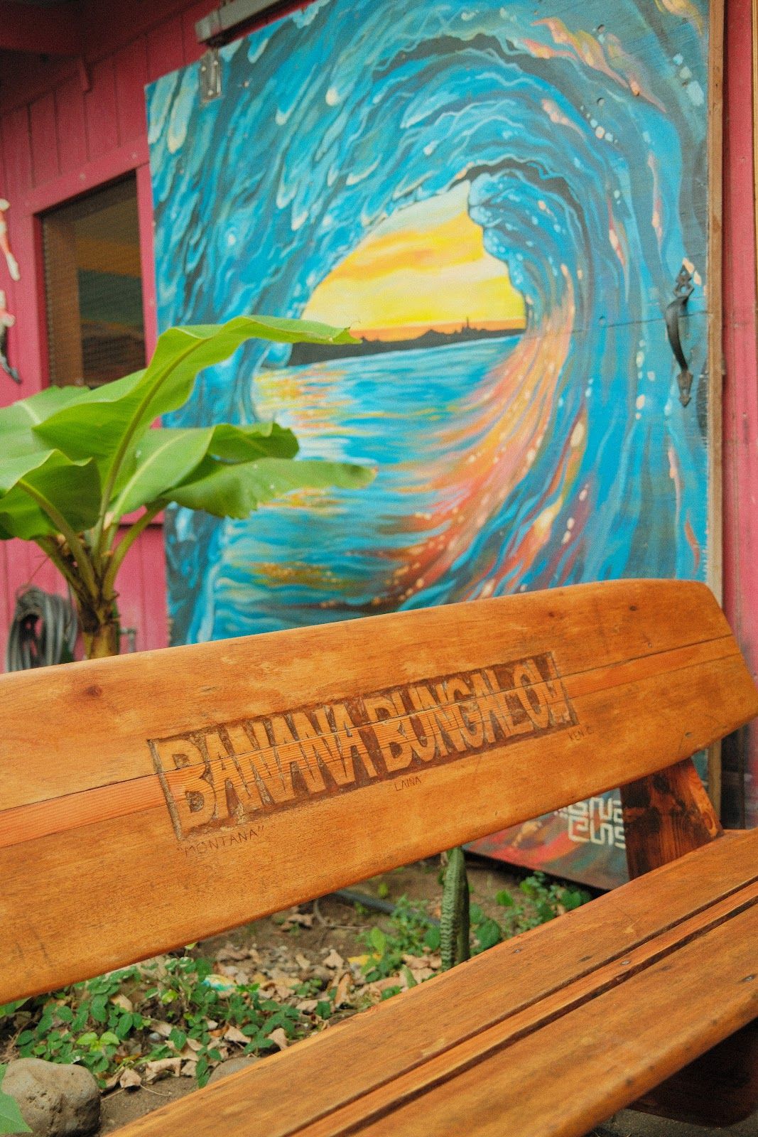Photo 4 of Banana Bungalow Maui Hostel in Wailuku, Maui