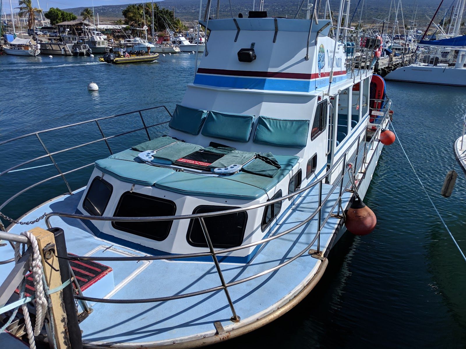 Photo 2 of Captain Dan McSweeney's Whale Watching Adventures in Kailua-Kona, Big Island