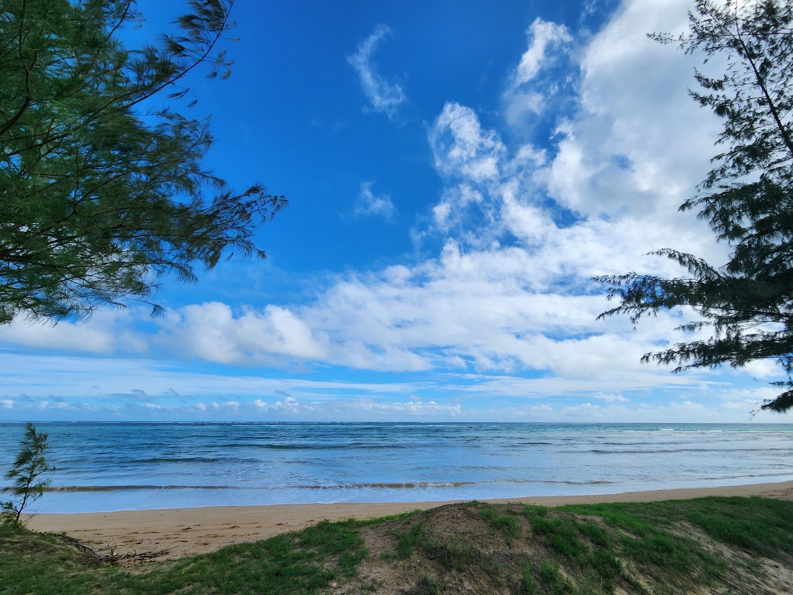 Photo 9 of Coffee Cove Hawaii in Kualoa & North Windward, Oahu
