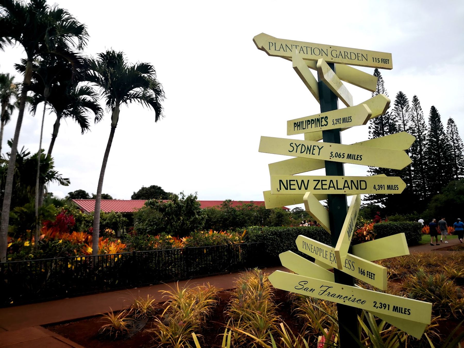Photo 3 of Dole Plantation in Waialua & Mokulēʻia, Oahu