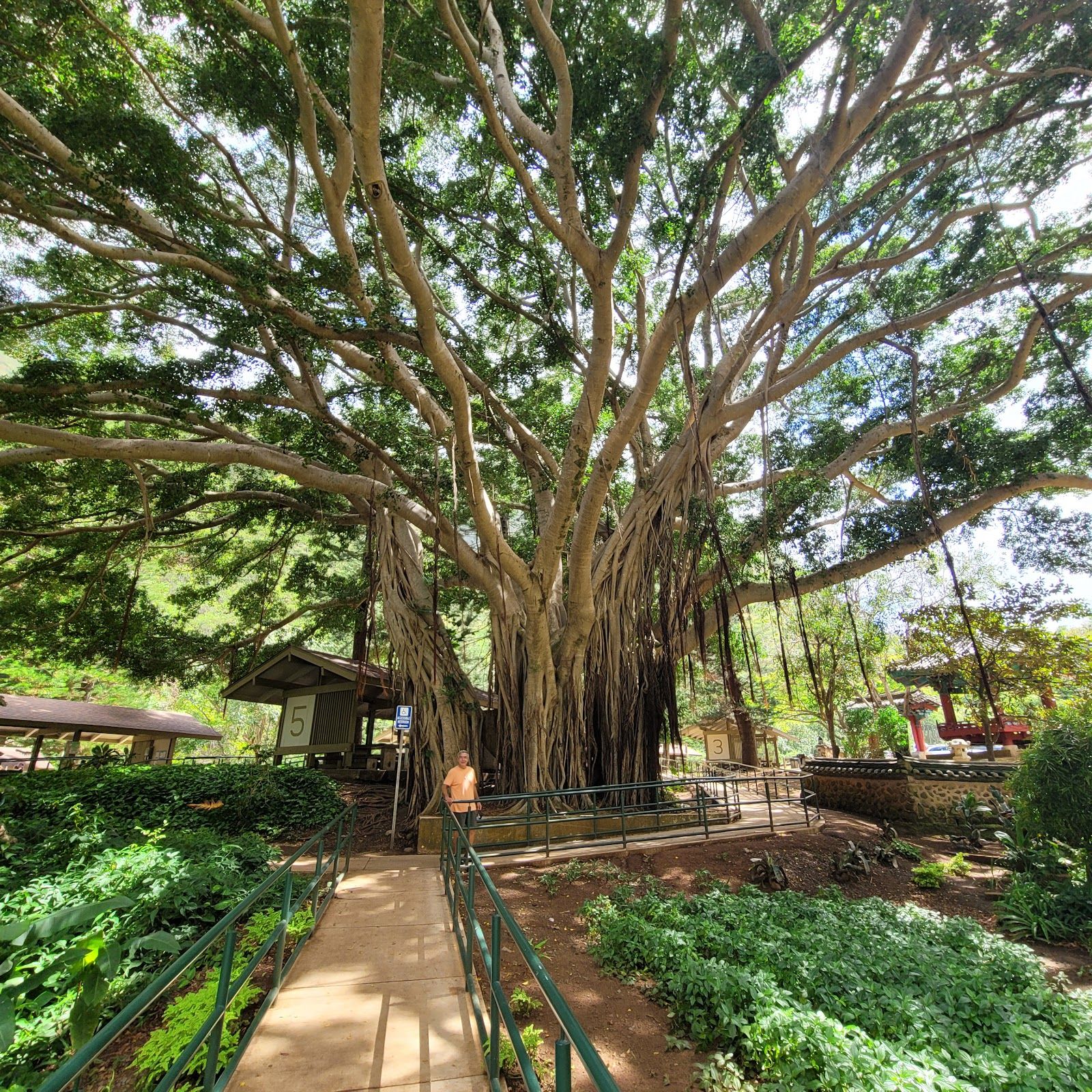 Photo 4 of Kepaniwai Park in Wailuku, Maui