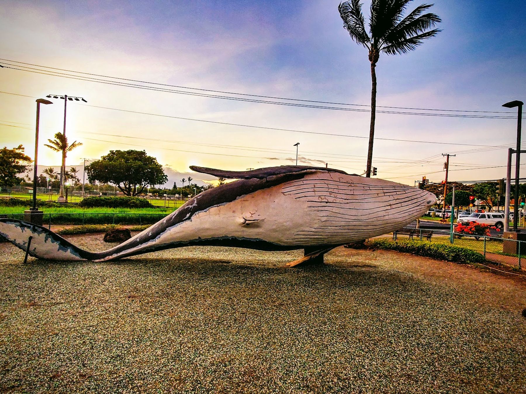 Photo 4 of Kalama Park in Kīhei, Maui