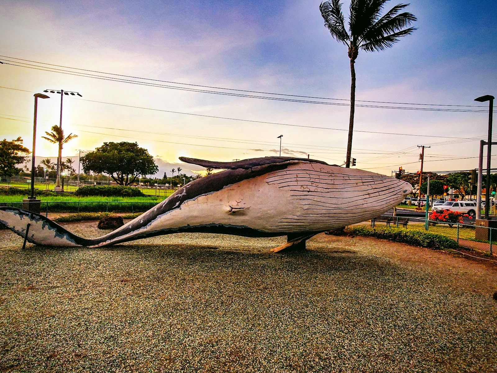 Photo 4 of Kalama Park in Kīhei, Maui
