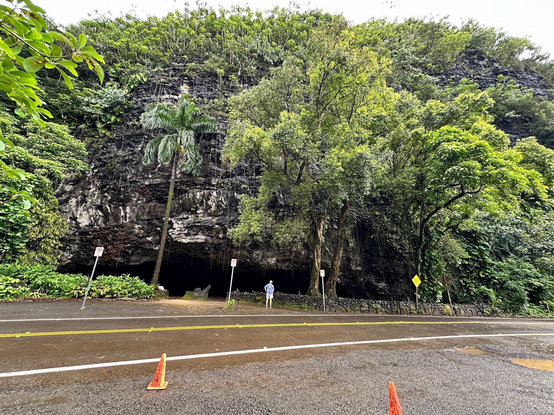 Tunnels Beach (Makua) in Haena, Kaua‘i photo 5