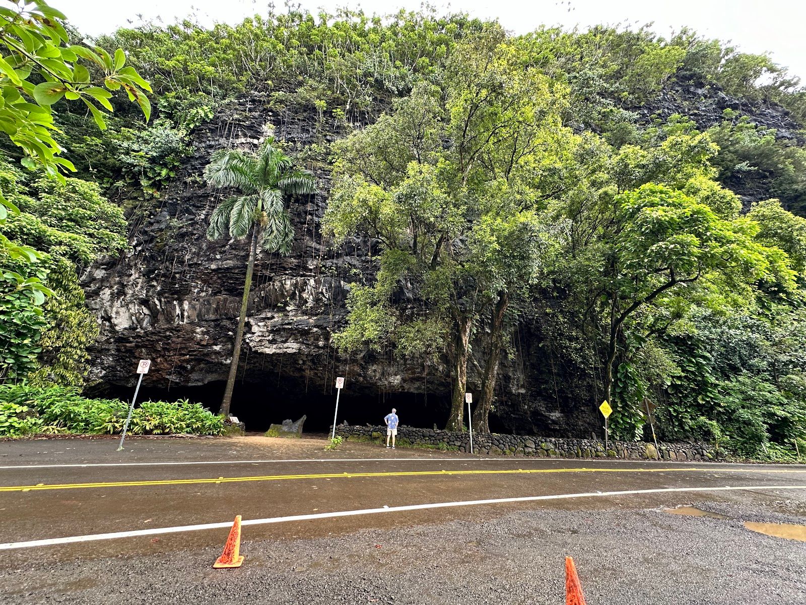 Tunnels Beach (Makua) in Haena, Kaua‘i photo 5