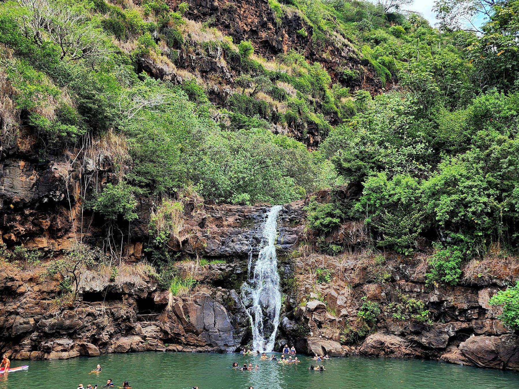 Photo 1 of Waimea Botanical Garden in Pūpūkea, Oahu