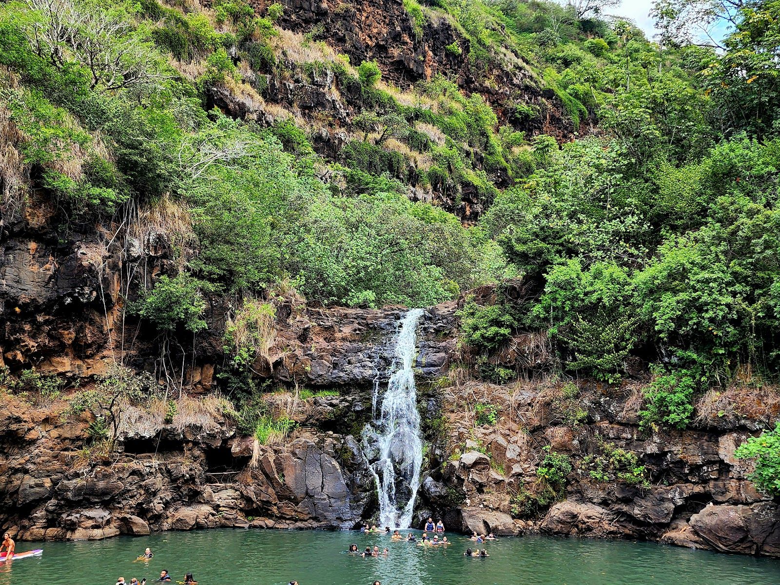Photo 1 of Waimea Botanical Garden in Pūpūkea, Oahu